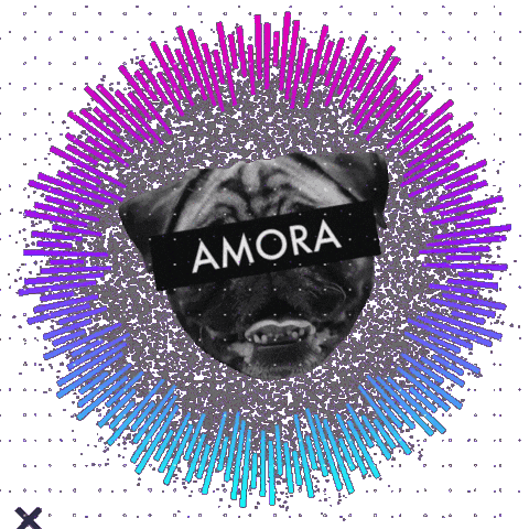 Zeedog Sticker by Amora Pug Brasil