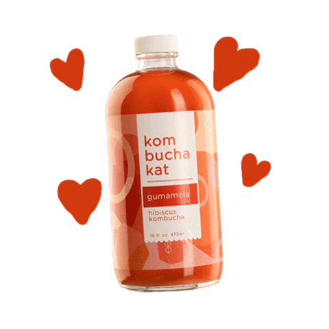 KombuchaKat cheers hearts kombucha drink up Sticker