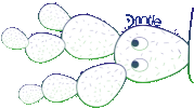 Cartoon Cactus Sticker by drintle