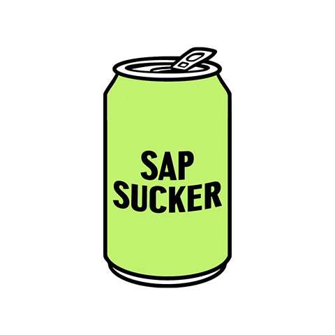 Bubbles Sticker by Sapsucker
