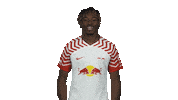 Come On Hello Sticker by Bundesliga