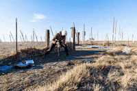 emslscience research scientist women in science researcher GIF