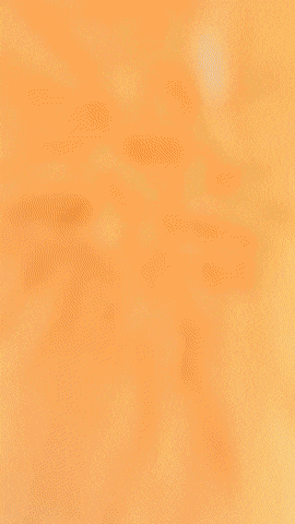 Plushie GIF by Youtooz