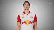 No Passing Cross Hands GIF by FC Red Bull Salzburg