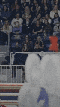 Show Jumping Horse GIF by Harmon's Non-Alc Craft Beer