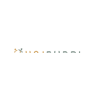 unibuddi color horizontal transparent bg unibuddi Sticker