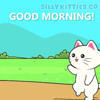 Happy Good Morning GIF by Silly Kitties