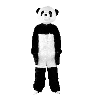 Sad Die Hard Sticker by WWF Deutschland