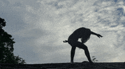 JenniferWester dance crazy windy blownaway GIF