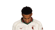 Look Up Fc Augsburg Sticker by Bundesliga
