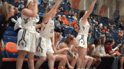 Iwutitans GIF by iwusports