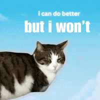 Cute Cat GIF by Furrend