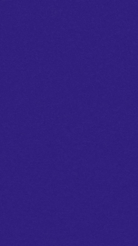 thomys_mind giphyupload GIF