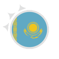 represent world cup Sticker by FIBA