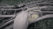 Blair Witch Pizza GIF by Speedy Ortiz