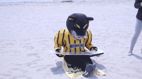 beach pounce GIF by UW-Milwaukee