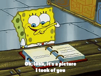 season 3 GIF by SpongeBob SquarePants