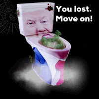 transgreaser trump election lost loser GIF