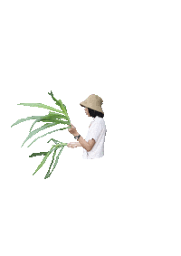 Dance Dancing Sticker