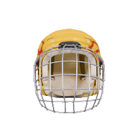 Ice Hockey Goal Sticker by PostFinance