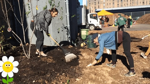 community planting GIF by GreenMap