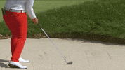 sand bunker GIF by The Evian Championship