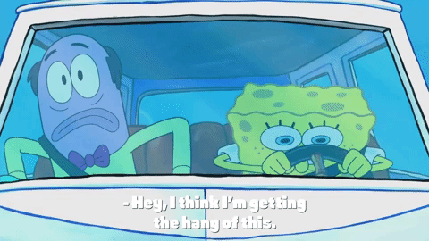season 9 GIF by SpongeBob SquarePants