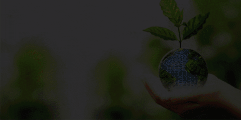 JasSunEdison giphyupload GIF