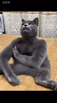 Russian Cat GIF