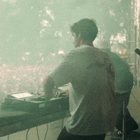 Lollapalooza Chicago GIF by Respective