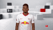 Red Bulls Football GIF by Bundesliga