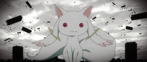 DJJazzyJenn giphyupload madoka puella magi madoka magica kyubey GIF