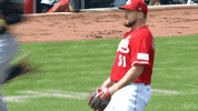 Major League Baseball Sport GIF by Cincinnati Reds