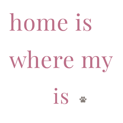 Home Is Where My Dog Is GIF by nacani