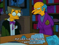 Season 2 Episode 22 GIF by The Simpsons