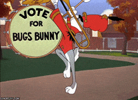 voting looney tunes GIF