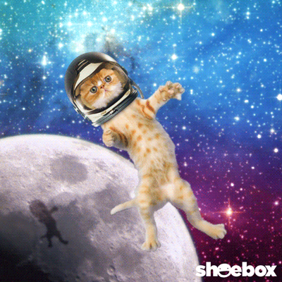 Sci Fi Lol GIF by Hallmark Gold Crown
