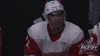 ice hockey no GIF by NHL