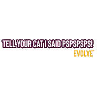 Cats Evolve Sticker by Sunshine Mills