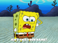 season 5 GIF by SpongeBob SquarePants