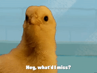 season 3 episode 13 GIF by SpongeBob SquarePants