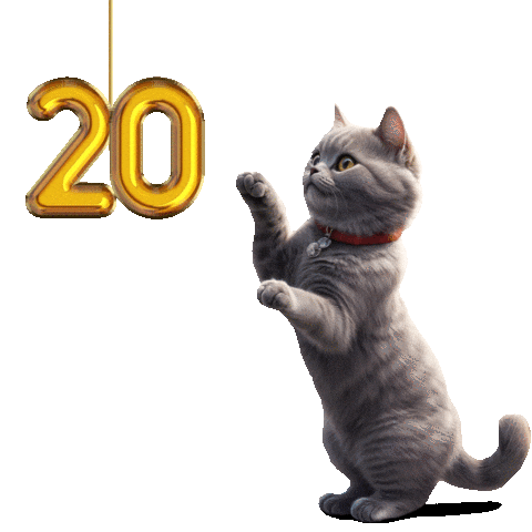 20Let Sticker by Super zoo