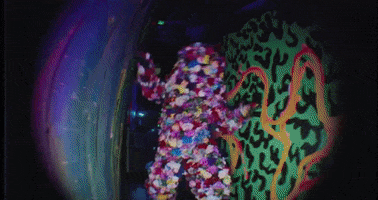 meowwolf beast meow wolf meowwolf meow wolf santa fe GIF