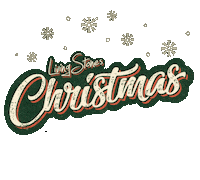 Merry Christmas Sticker by SpringOfLifeFellowship