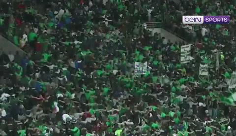 ligue 1 soccer fans GIF by beIN SPORTS