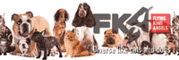 FlyingKiwiAngels another fka friday fka news GIF