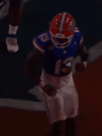 Florida Gators GIF