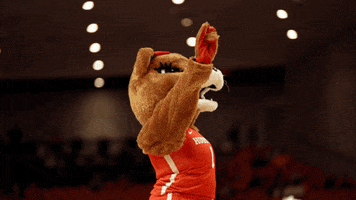 Sasha Go Coogs GIF by University of Houston