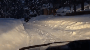 Steep Banks of Snow Narrow Roads Around Lake Tahoe After Record Falls