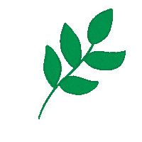 rusydinat green leaf leaves daun Sticker